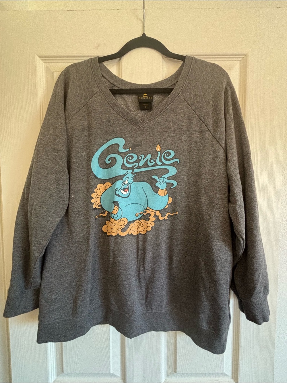 Disney Gray Pullover with Blue Genie and Tan Accents